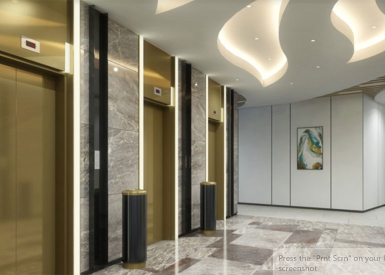 Thang máy tải khách Elux Tubo